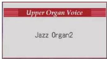 ROLAND AT-500 - Drücken Sie den Upper Organ [Jazz]-Taster (Anzeige leuchtet). - 1