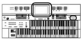 ROLAND AT-500 - Berühren Sie <> (), um die Wiedergabe zu stoppen. - 1