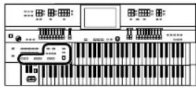 ROLAND AT-500 - Suchen nach verschiedenen anderen Aspekten - 2