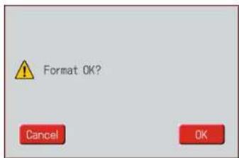 Format OK? Cancel OK