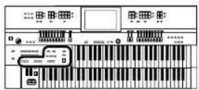 ROLAND AT-500 - Spielen des Rhythmus mit der Automatischen Begleitung - 4