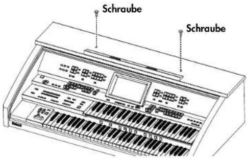 Schraube Schraube