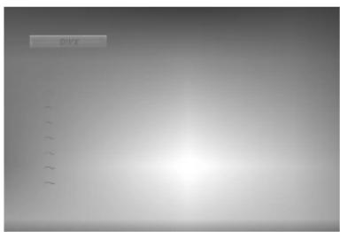 LG LM-K2345X - Работа с диском формата DivX - 1