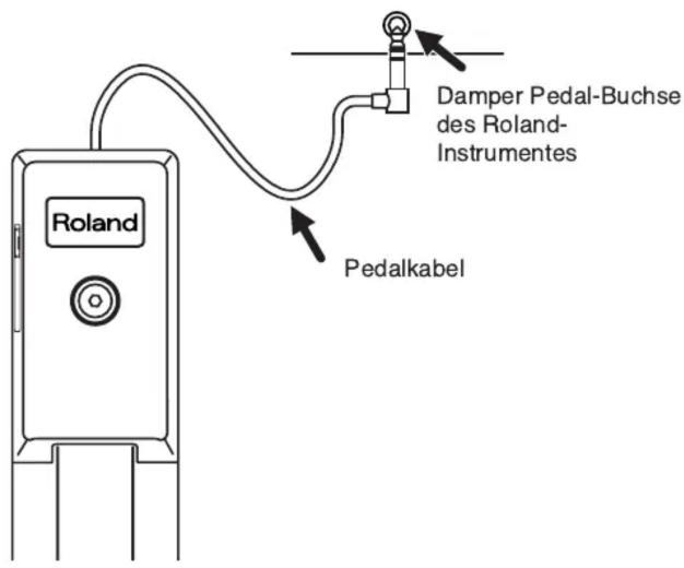 Damper Pedal-Buchse des Roland- Instrumentes Roland Pedalkabel