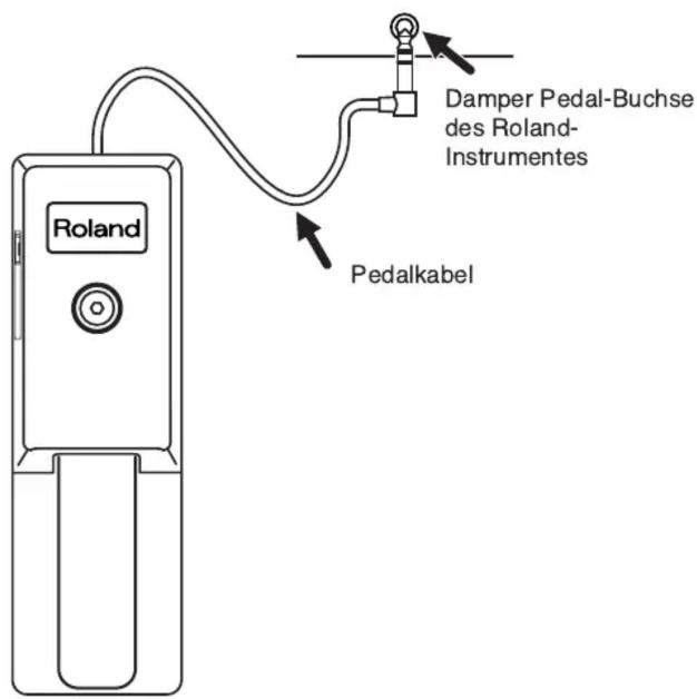 Damper Pedal-Buchse des Roland- Instrumentes Roland Pedalkabel
