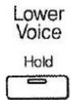 ROLAND AT-90S - Halten der auf dem unteren Manual gespielten Noten (Lower Hold) - 2