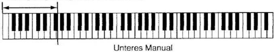 Unteres Manual