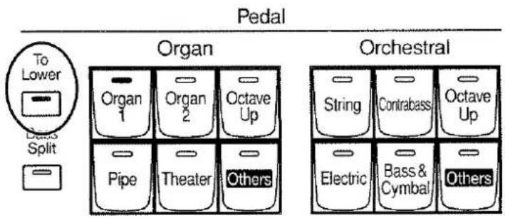 Pedal Organ Organ 1 Organ 2 Octave Up Pipe Theater Others Orchestral String Contrabass Octave Up Electric Bass & Cymbal Others