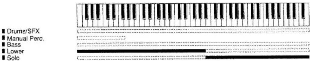 ROLAND AT-90S - Spielen des Solo-Klangs über das untere Manual - 1