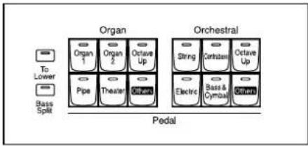 Organ Organ 1 Organ 2 Octave Up Pipe Theater Others Orchestral String Certrium Octave Up Electric Bass & Cymbals Others To Lower Bass Split Pedal