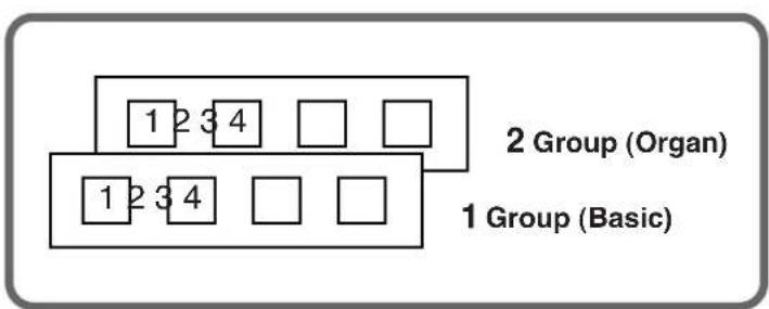 ROLAND AT-800 - Was ist Chord Intelligence? - 1