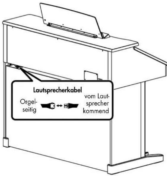 Lautsprecherkabel Orgel- seitig vom Laut- sprecher kommend