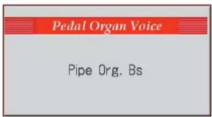 ROLAND AT-800 - Drücken Sie den Pedal Organ [Pipe]-Taster (die Anzeige leuchtet). - 1