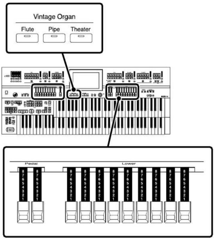 ROLAND AT-800 - Erstellen von eigenen Orgelklängen (Vintage Organ) - 1