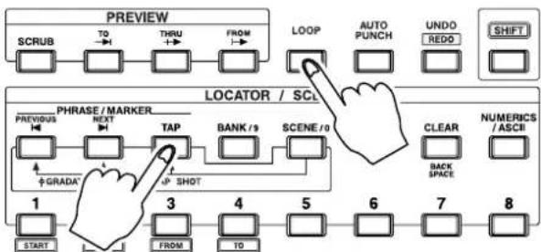 ROLAND VS-1824CD - Programming Points During Song Playback - 1