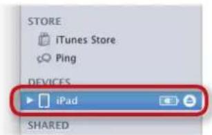 STORE iTunes Store Ping DEVICES iPad SHARED