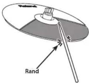 Rand
