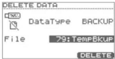 DELETE DATA DataType BACKUP File 79: TempBkUP DELETE