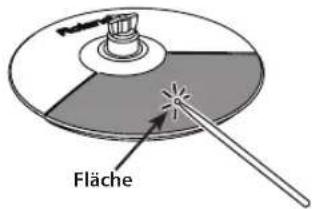 Fläche
