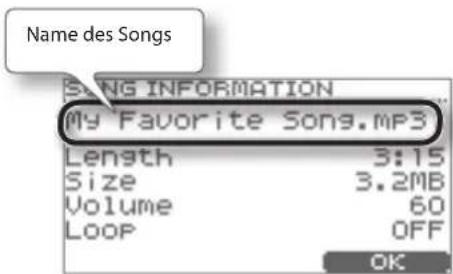 Name des Songs SUNG INFORMATION My Favorite Song.mp3 Length 3:15 Size 3.2MB Volume 60 Loop OFF OK