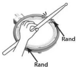 V Rand Rand