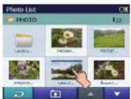 Photo List PHOTO 12 Lands... Photo... Photo... PASS... Search... Report...