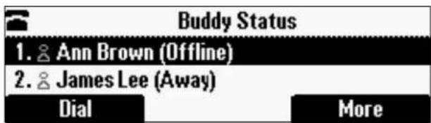 Buddy Status 1. ⚙ Ann Brown (Offline) 2. ⚙ James Lee (Away) Dial More