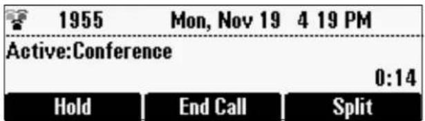1955 Mon, Nov 19 4 19 PM Active:Conference 0:14 Hold End Call Split