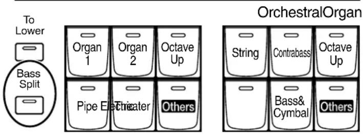 To Lower Bass Split Organ 1 Organ 2 Octave Up Pipe Elecater Others OrchestralOrgan String Contrabass Octave Up Bass& Cymbal Others