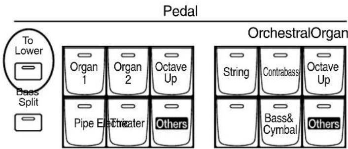 Pedal OrchestralOrgan To Lower Bass Split Organ 1 Organ 2 Octave Up Pipe El Threater Others String Contrabassi Octave Up Bass& Cymbal Others