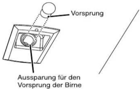 Vorsprung Aussparung für den Vorsprung der Birne