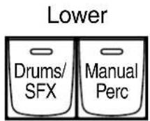 ROLAND Music Atelier AT-90SL - Spielen von Percussion-Klängen im linken Bereich des unteren Manuals (Manual Percussion) - 1