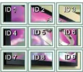 ID 1 ID 2 ID 3 ID 4 ID 5 ID 6 ID 7 ID 8 ID 9