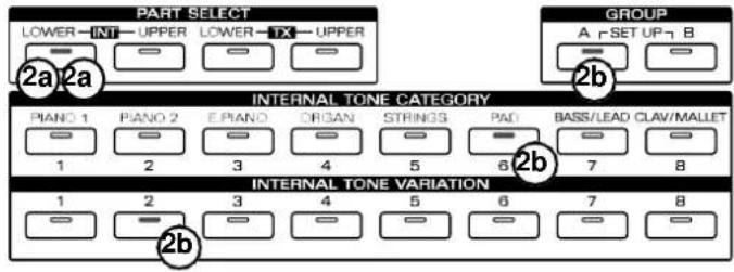 PART SELECT LOWER - INT - UPPER LOWER - TX - UPPER GROUP A □ SET UP □ B 2a 2a INTERNAL TONE CATEGORY PIANO 1 1 Piano 2 2 Piano 3 3 ORGAN 4 ORGAN 5 STRINGS 6 PAD 7 BASS/LEAD CLAW/MALLET 8 INTERNAL TONE VARIATION 1 2 2b 3 3 4 4 5 5 6 6 7 7 8