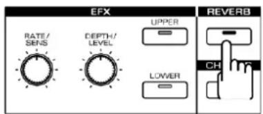 EFX RATE/ SENS DEPTH/ LEVEL UPPER LOWER REVERB CH