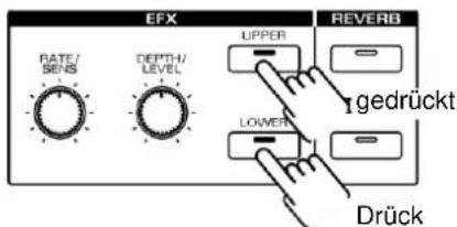 EFX RATE/ SENS DEPTH/ LEVEL UPPER LOWER REVERB gedrückt Drück
