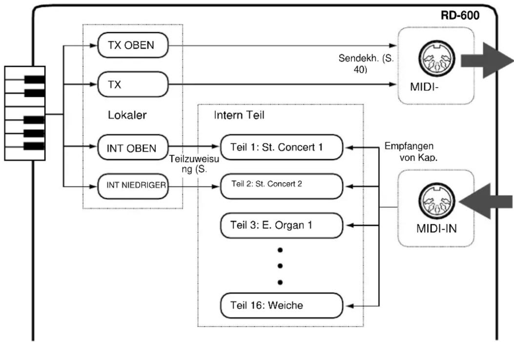 ROLAND RD-600 - How Der RD- 600 Ist Organisiert Intern - 1