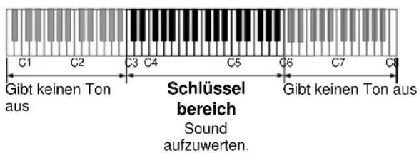 C1 C2 C3 C4 C5 C6 C7 C8 Gibt keinen Ton aus Schlüssel bereich Sound aufzuwerten. Gibt keinen Ton aus