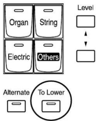 ROLAND Music Atelier AT-45 - Spielen des Bass-Klangs mit dem Grundton eines Akkordes (Pedal [To Lower] Taster) - 1