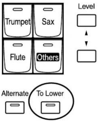 ROLAND Music Atelier AT-45 - Spielen des Solo-Klangs auf dem unteren Manual (Solo [To Lower] Taster) - 1