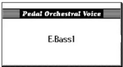 Pedal Orchestral Voice E.Bass1