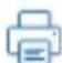 EPSON RC+ Express - - Printing - 1