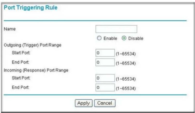 NETGEAR WGXB102 - Enable Name Outgoing Ports Incoming Ports - 1
