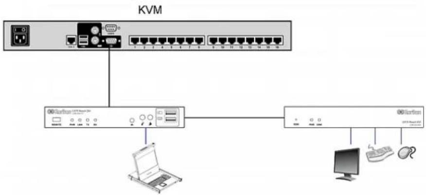Raritan Dominion KX III DKX3-864 - To connect Cat5 Reach DVI and Cat5 Reach DVI: - 2