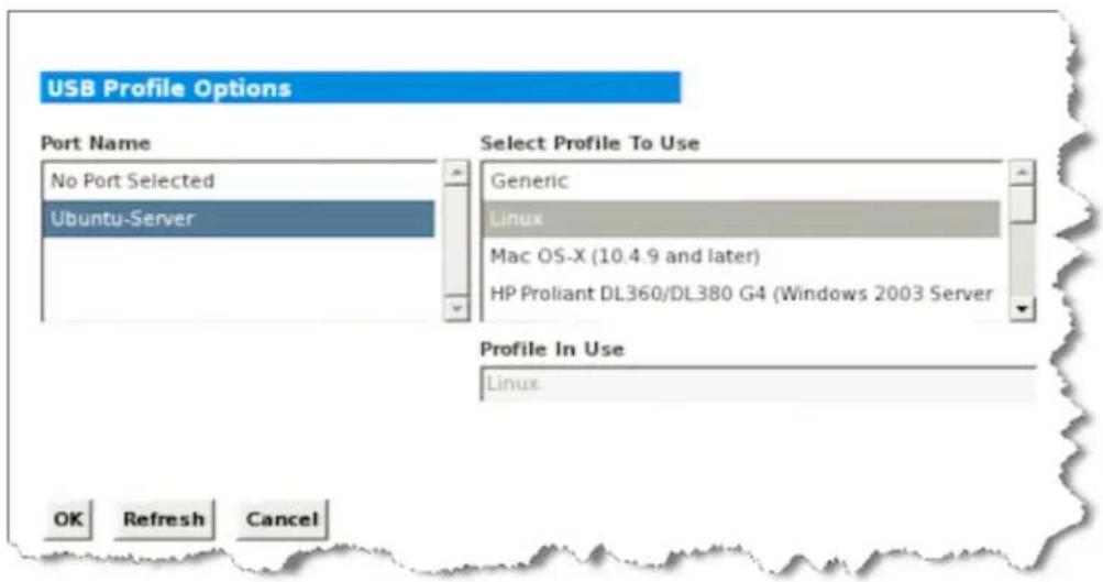 Raritan Dominion KX III DKX3-864 - To apply a USB profile to a local console port: - 1