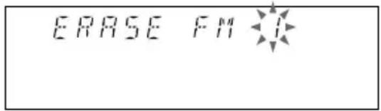 ERASE FM