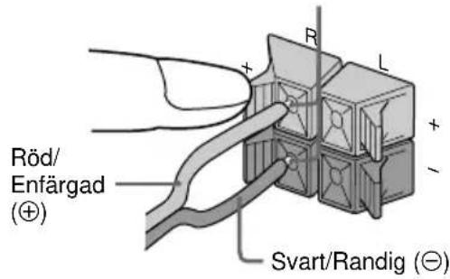 Röd/ Enfärgad (⊕) Svart/Randig (⊖)