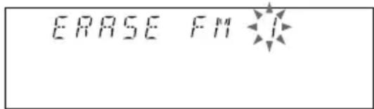 ERASE FM