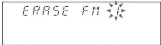 ERASE FM