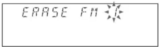 ERASE FM